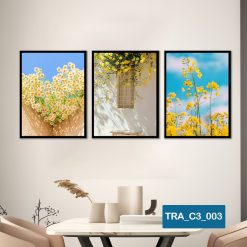 Bộ 3 tranh chủ đề hiện đại TRA_C3_003