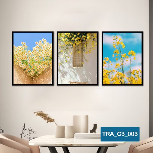 Bộ 3 tranh chủ đề hiện đại TRA_C3_003
