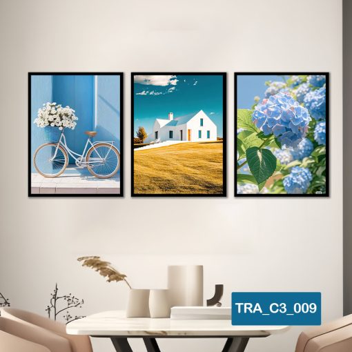 Bộ 3 tranh chủ đề hiện đại TRA_C3_009