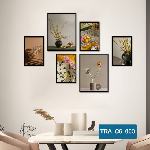 Bộ 6 tranh hiện đại TRA_C6_003