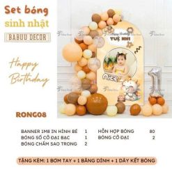 chibi thiết kế RONG08