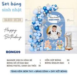 trang trí sinh nhật RONG09