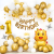 RONG13