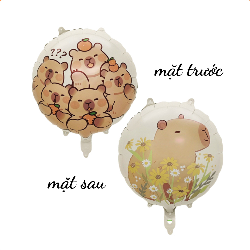 images upload woo2F1a281fd522f06ed941f3e124254e14d9.jpg images upload woo2F1a281fd522f06ed941f3e124254e14d9.jpg