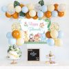 Set bóng sinh nhật hàn quốc SPV04