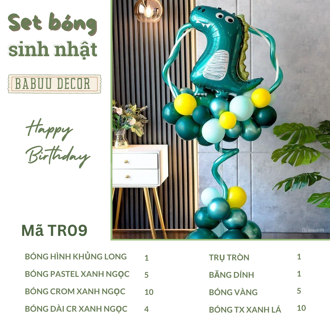 Trang trí sinh nhật chủ đề khủng long TR09